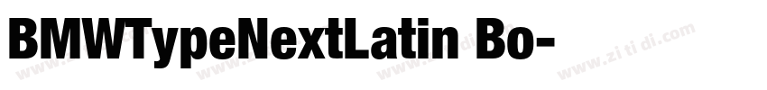 BMWTypeNextLatin Bo字体转换